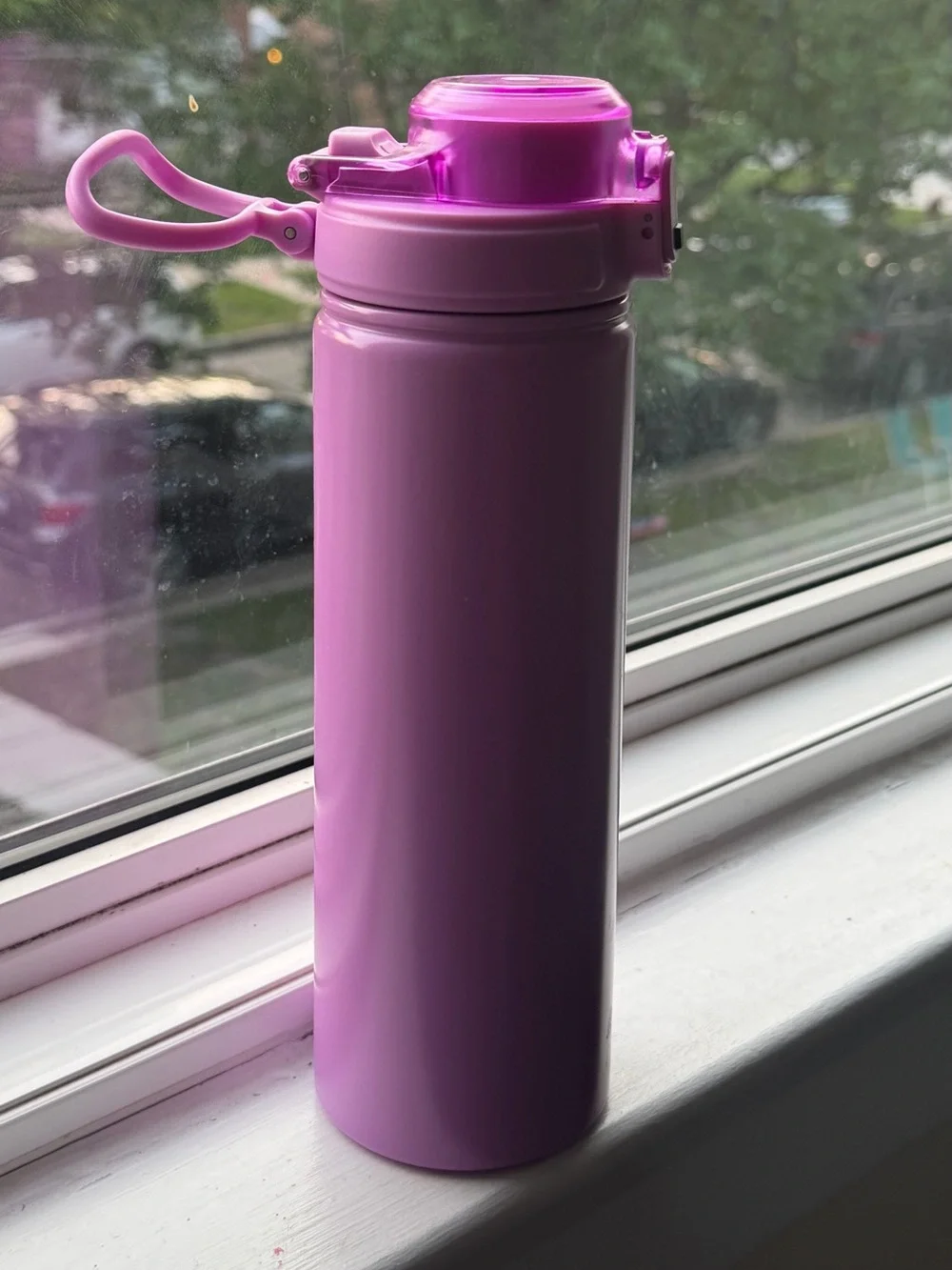 Pink Insulated Water Bottle with Flip Lid